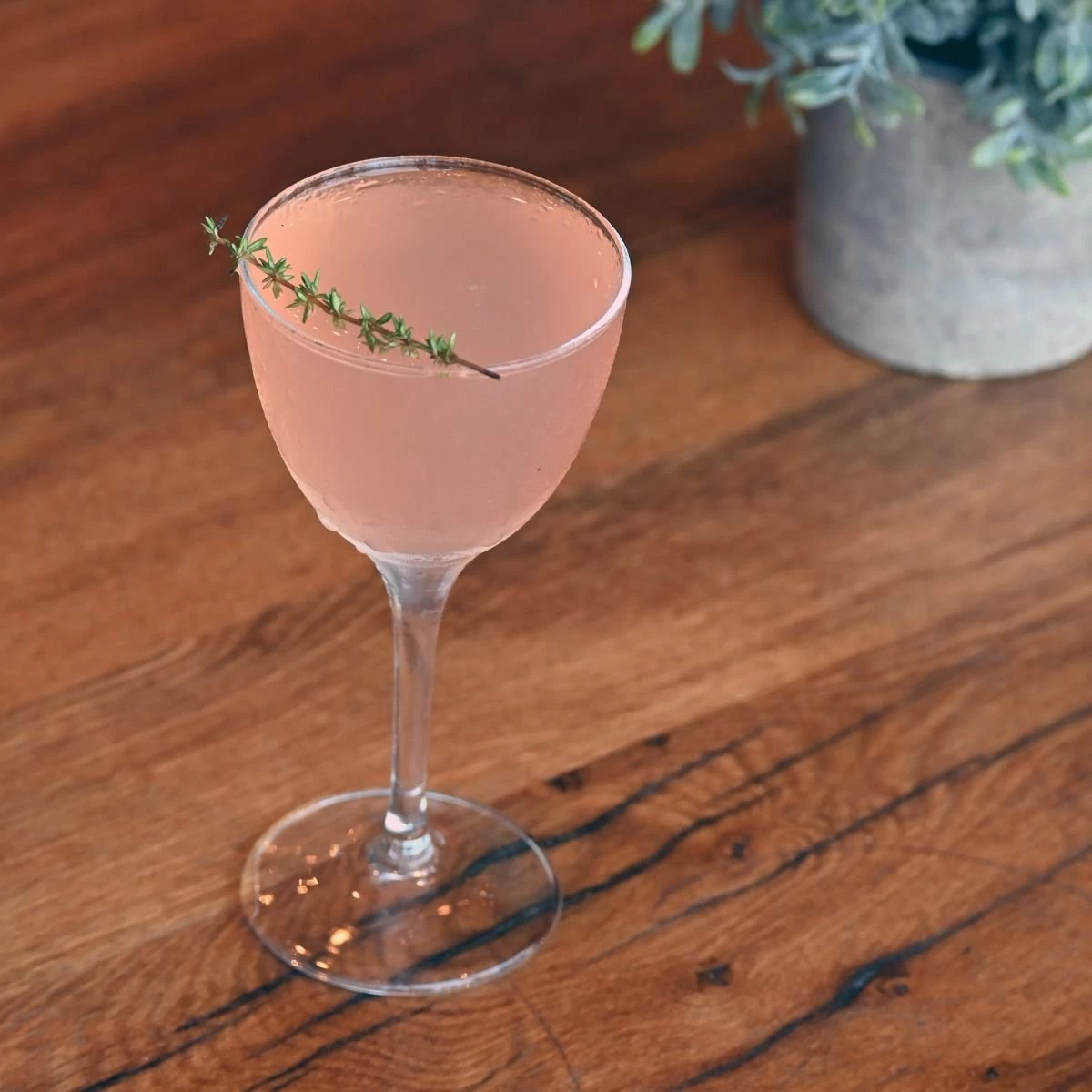 Bormioli Rocco 5.25oz Novecento Nick & Nora Glass | Set Of 4 - Image 4