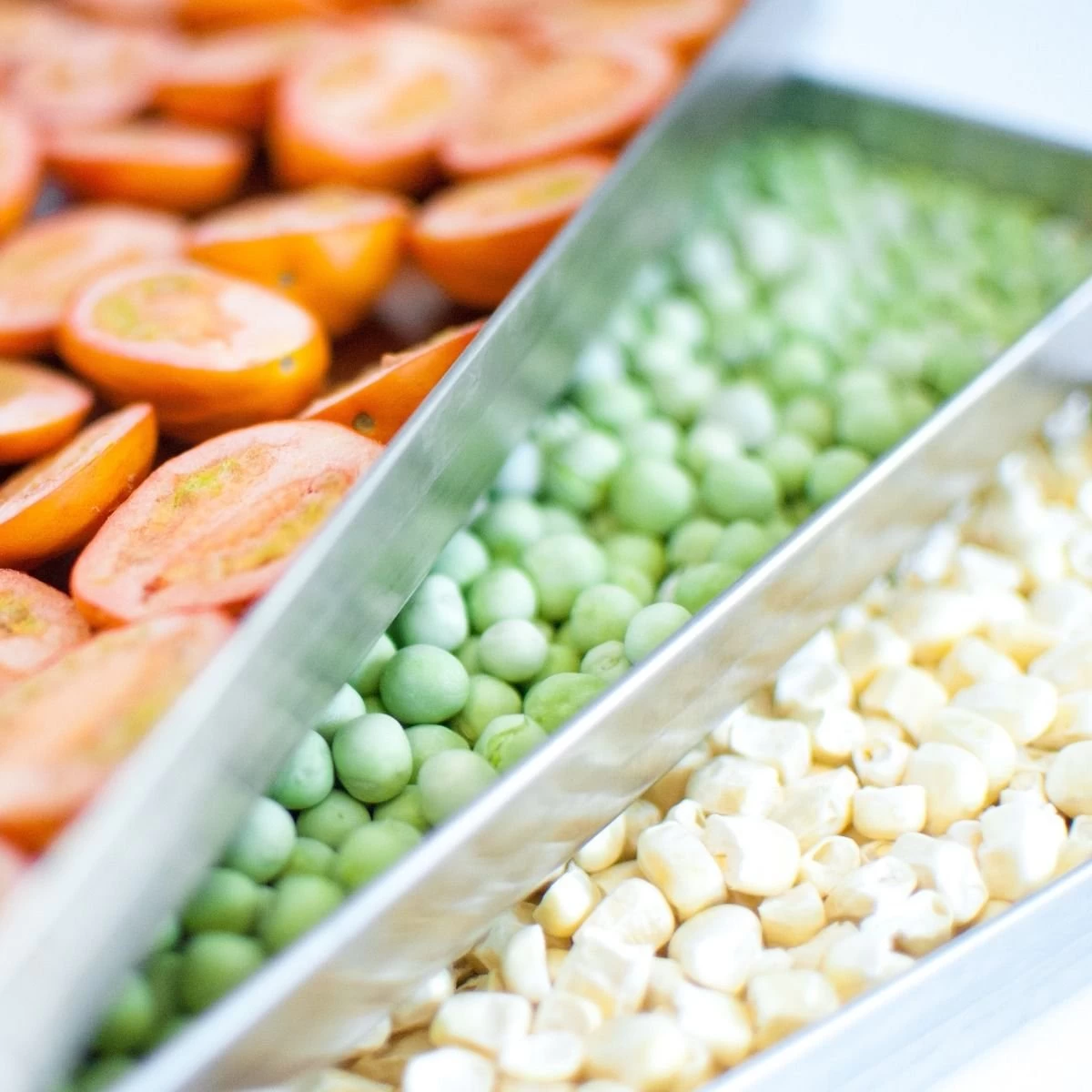 Harvest Right Large Size Home Freeze Dryer | Satin White - Image 3