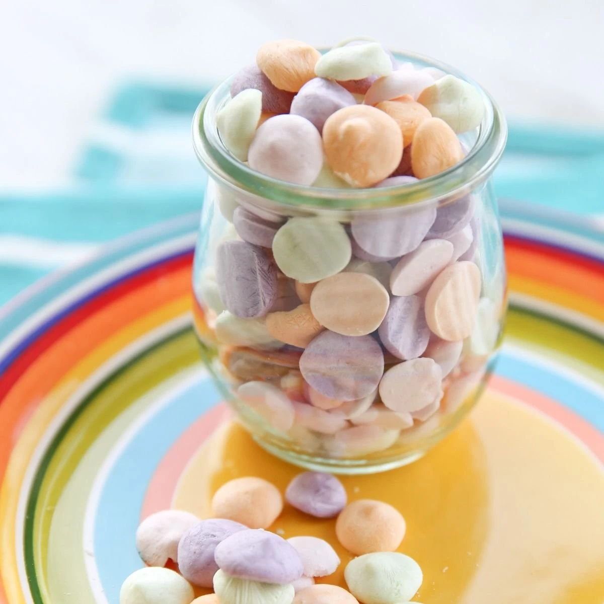 Harvest Right Large Size Home Freeze Dryer | Black - Image 6