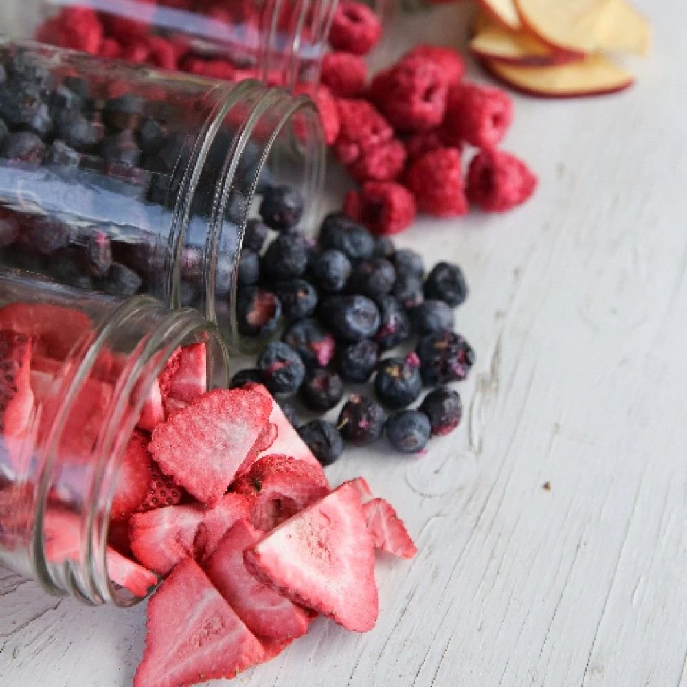 Harvest Right Large Size Home Freeze Dryer | Stainless Steel - Image 6